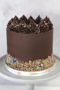 Chocolate Frosted Funfetti Cake